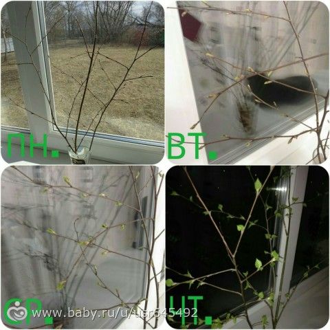 Отчет за неделю. Весенний марафон &quot;Радужная весна&quot;