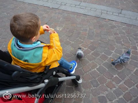 Наши прогулки по парижскому региону, город Рюэль Мальмезон, много фото
