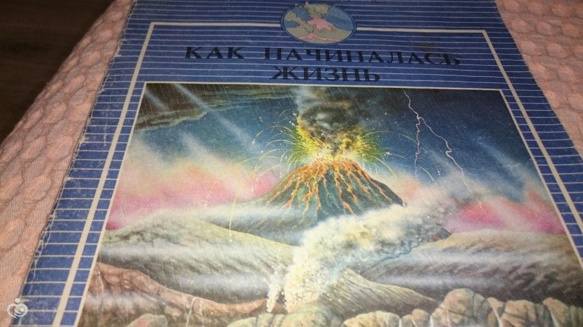 маленькие палеонтологи
