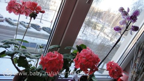 Украшения для девочек из атласных лент.