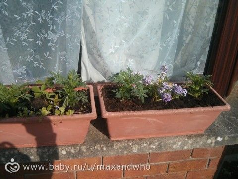 365 дней ИРЛ семейки. День 99. Шоколадный!)))