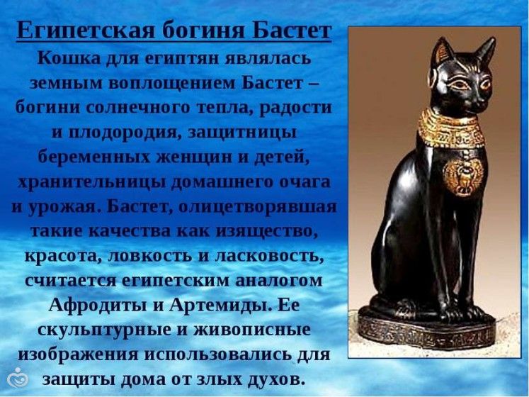 Эх, интриги больше нет)))