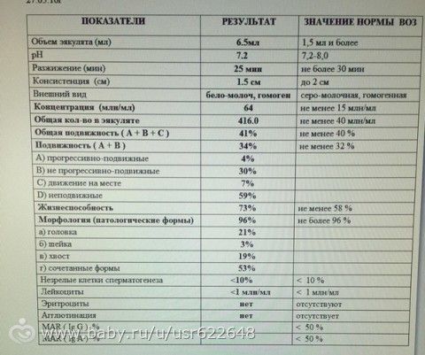 кто разбирается в спермограмме?