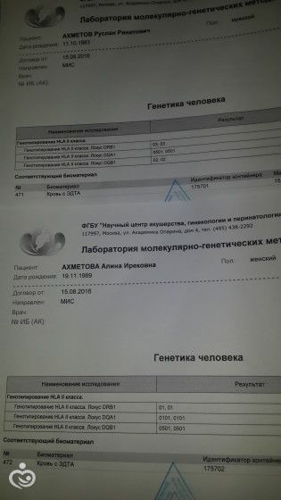 HLA-типирование