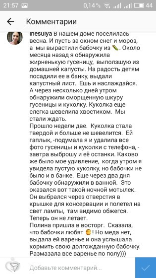 У нас бабочка:)