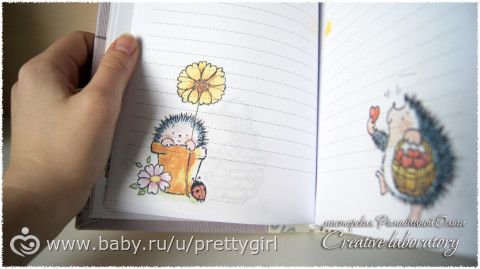 Baby-book и сокровищница.