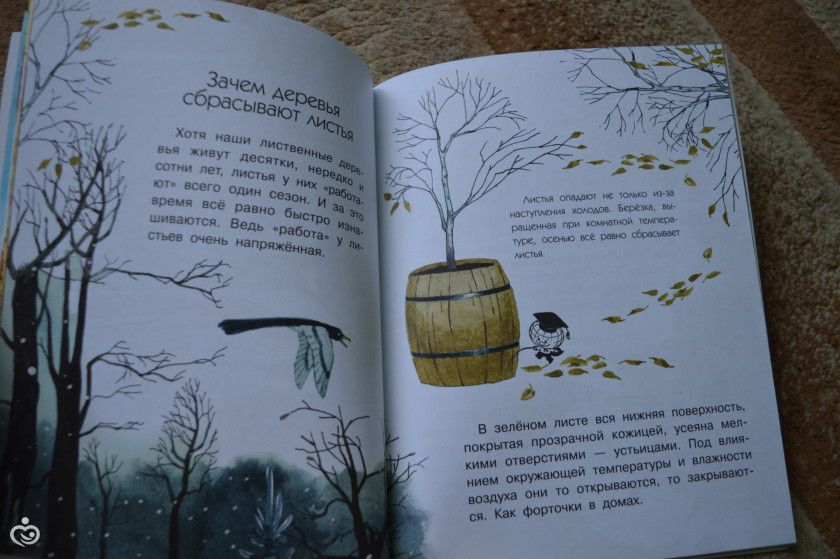 Книжное пополнение ноябрь.