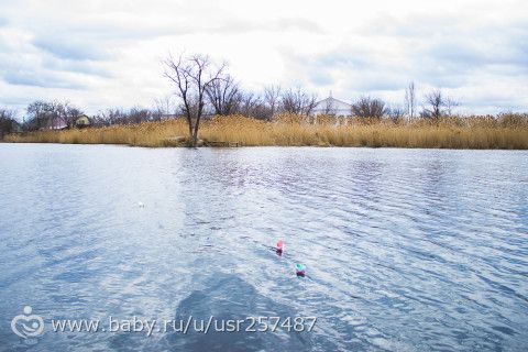 Радужная весна д.3