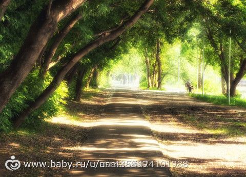 Лучшая пятерка фотоконкурса АЛЛЕИ.