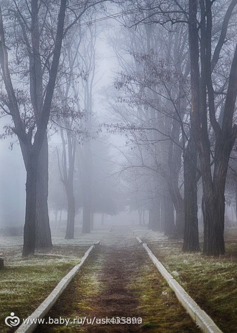 Лучшая пятерка фотоконкурса АЛЛЕИ.