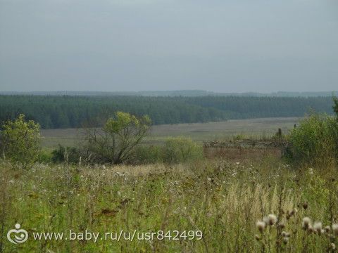 Бабушкин домик, где прошло детство. Эх..