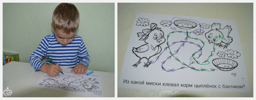 Марафон &amp;quot;Маленькие учёные&amp;quot;. Орнитология.