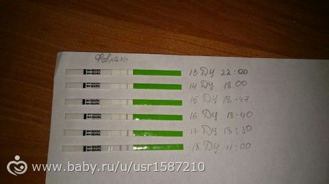 тест на овуляцию