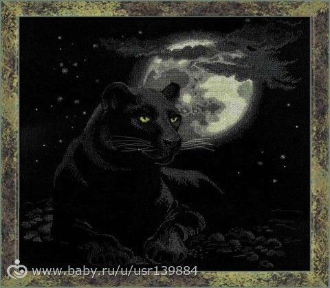 Моя коллекция на черной канве)