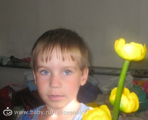 О сыне