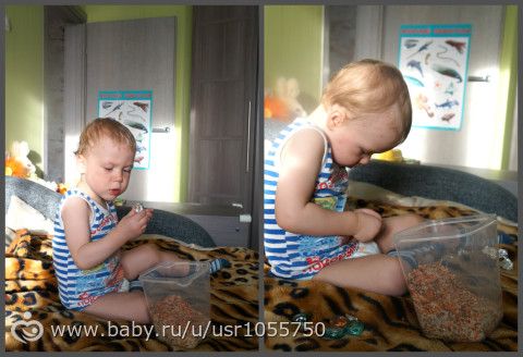 ТН &quot;Морские обитатели&quot; (фотоотчет)