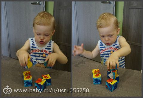 ТН &quot;Морские обитатели&quot; (фотоотчет)