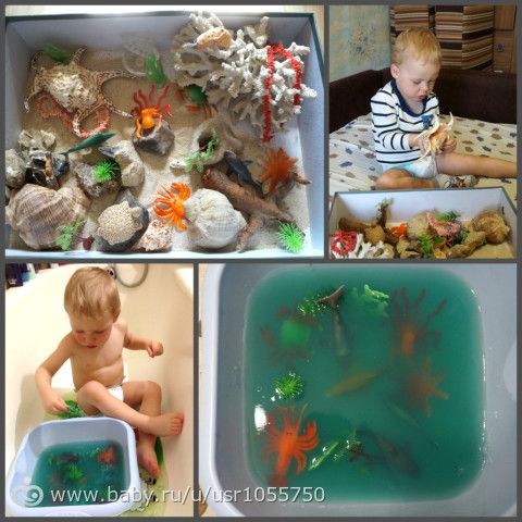 ТН &quot;Морские обитатели&quot; (фотоотчет)