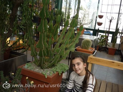 ДР рождение сегодня у ДОЧИ