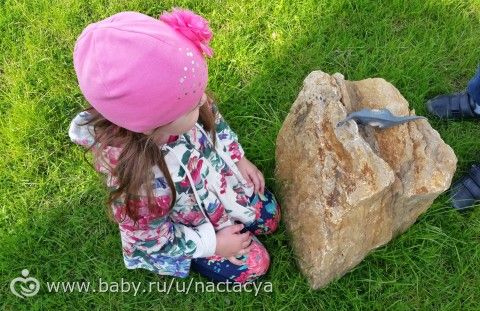 Наши ФОТОВИДЕОпогуляшки