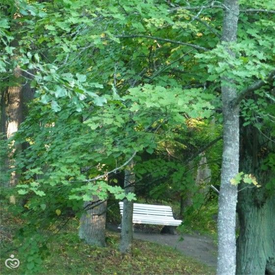 Большое пустешествие маленького человечка.