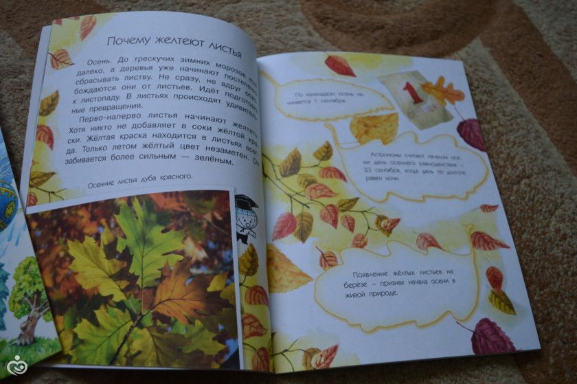 Книжное пополнение ноябрь.