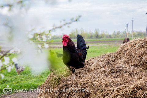 Малая родина...Фотопост