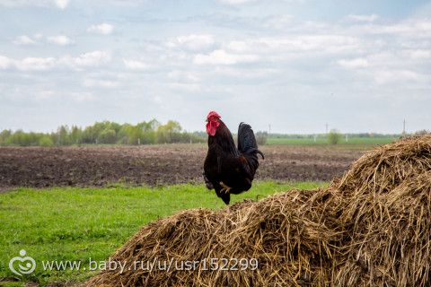 Малая родина...Фотопост