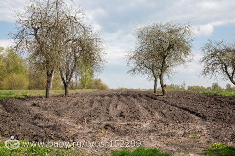 Малая родина...Фотопост