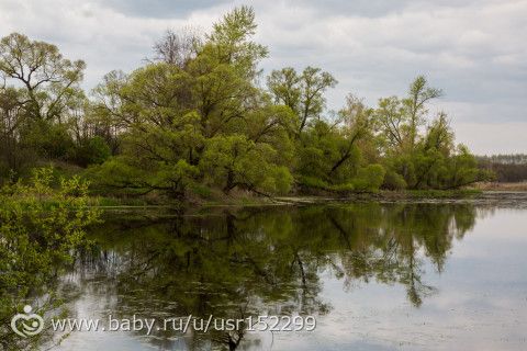 Малая родина...Фотопост