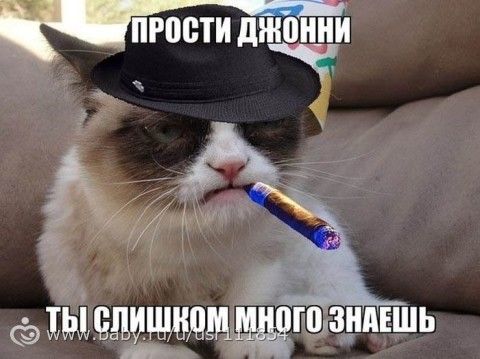 Мафочки ))