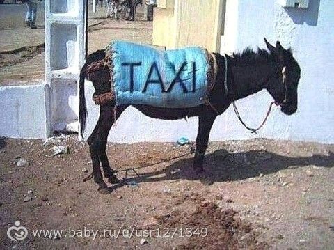 мой рай на земле))- мое детство в п. Чарвак (Узбекистан)