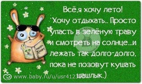 лето, солнце, шалык...