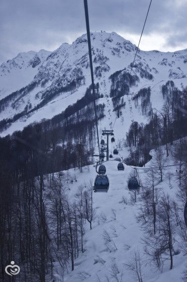 Сочи на 3 ночи в феврале