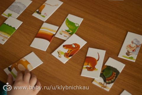 Занятия с особенком