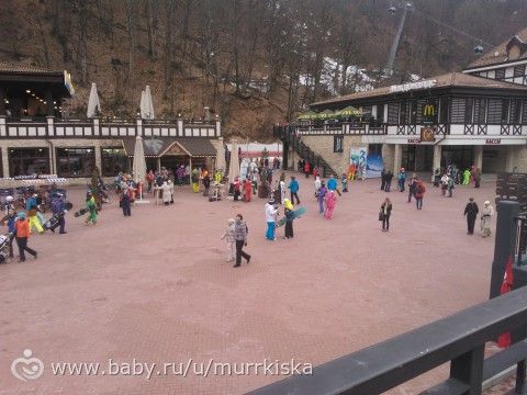 Как мы съездили в Сочи, ФОТО