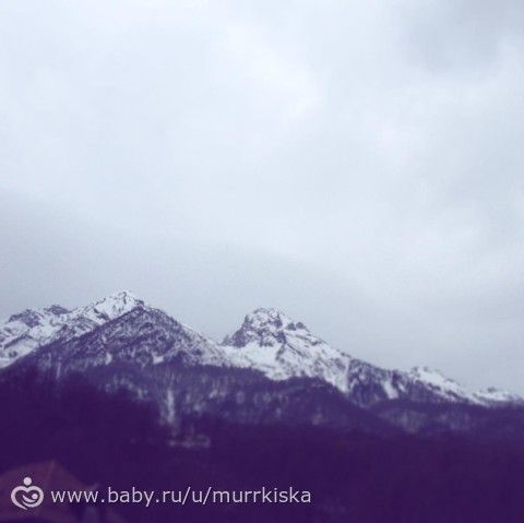 Как мы съездили в Сочи, ФОТО