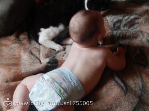 Отзыв о подгузниках Pampers active baby-dry