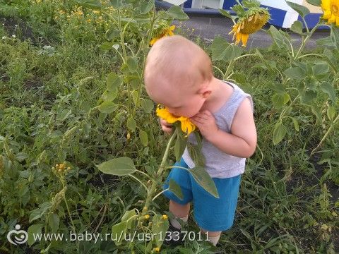 Наш шкода)))) Год и пять месяцев)