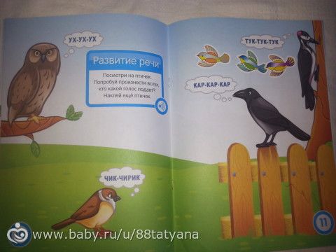 Наши развивашки