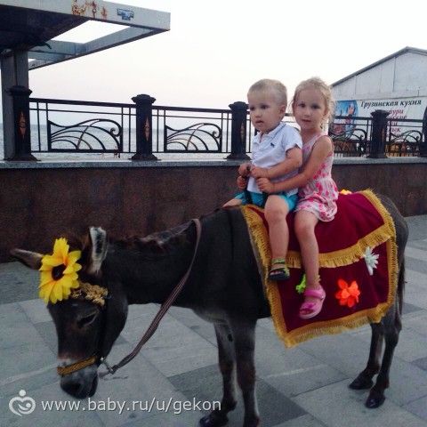Отдых с детьми на море) впечатления по горячим следам)