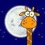 Giraffe Lee Giraffe Lee