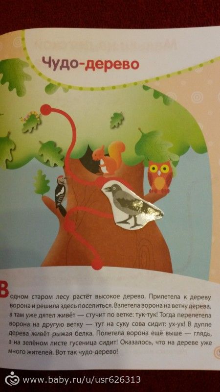 Проект &quot;Вокруг света с малышом&quot;. Россия. Лес-деревья (2,5 г)