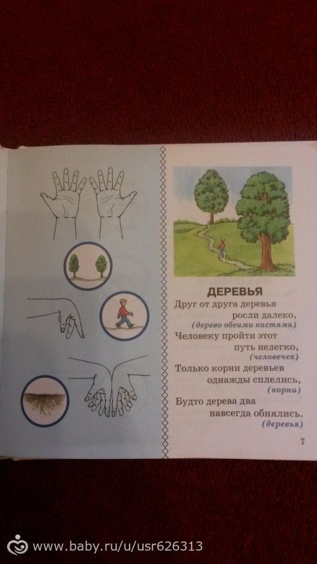 Проект &quot;Вокруг света с малышом&quot;. Россия. Лес-деревья (2,5 г)